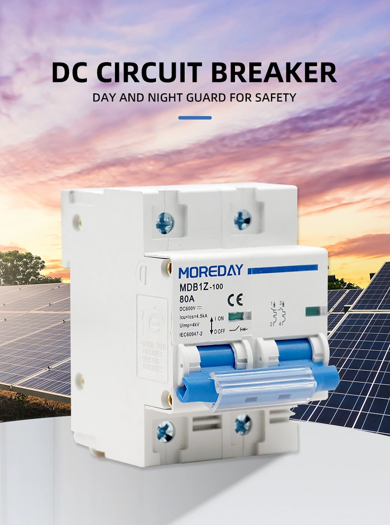 DC Electrical Disjoncteurs Circuit Breakers Specializing Circuit Breakers 6A to 125A 1p 2p 3p 4p DC MCB Miniature Disyuntor
