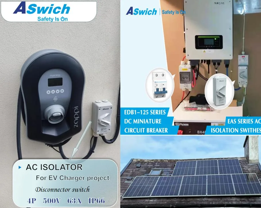 Aswich IEC EAS 250V 2p Photovoltaic Power Generation System PV AC 63A Isolator
