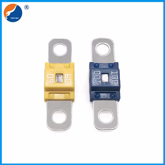 Pec Fuse 30A 40A 50A 60A 70A 80A 100A 125A Sbfw-L M5 Screw Type DC 58V Bolt-on Ans Fuse