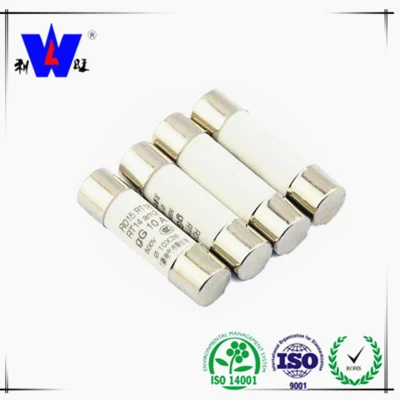High Quality Low Voltage Resisitor DC Auto Thermal Fuse