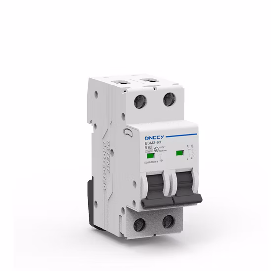 Free Sample! AC Mini Circuit Breaker Dz47 MCB 63 C16 MCB